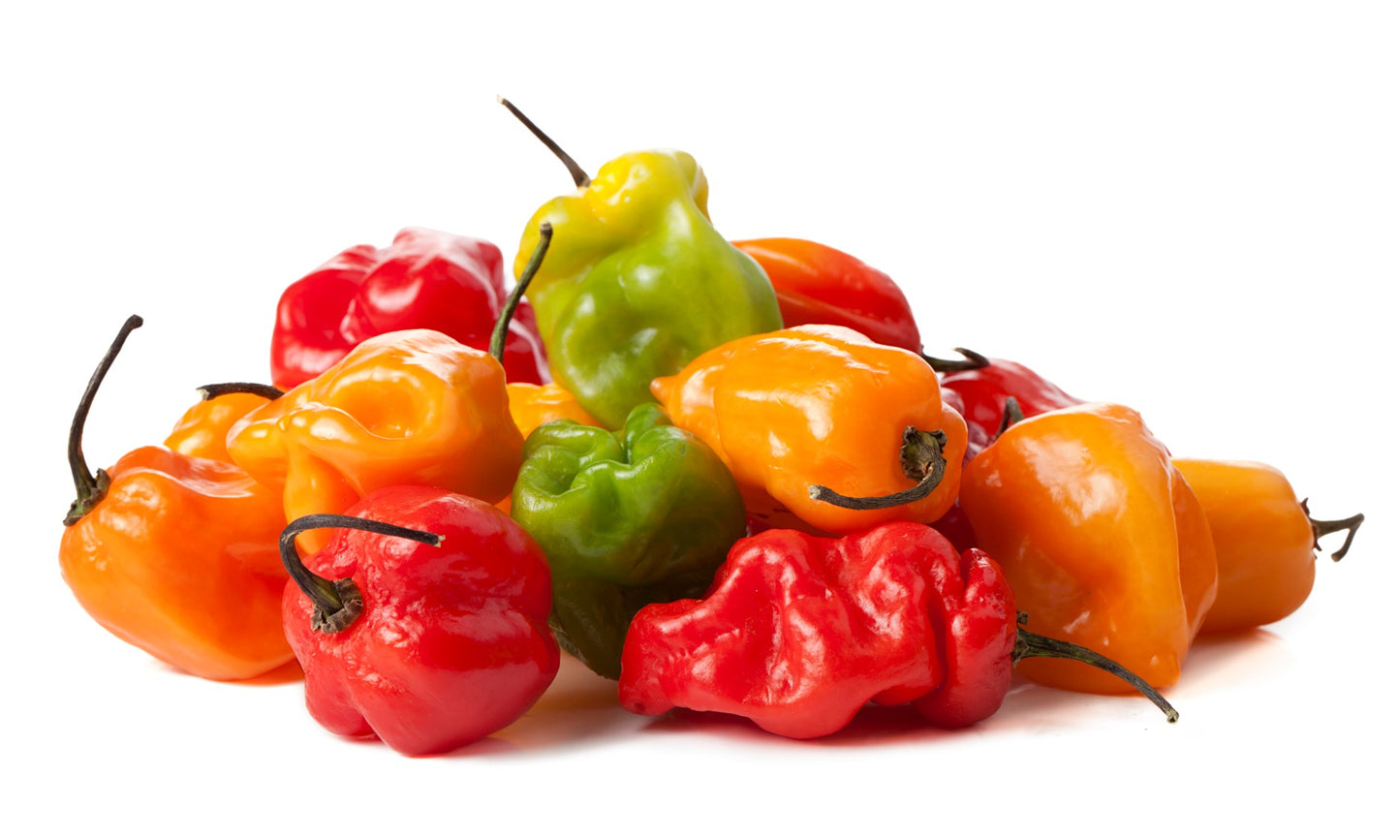 Hot/Haberno Peppers - DesiMe