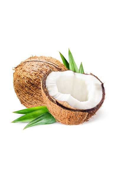 Coconut x1 - DesiMe
