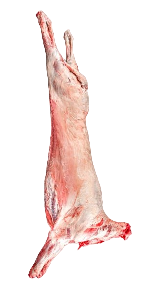 Halal Half Lamb 7-8kg (Before Cutting & Cleaning) - DesiMe