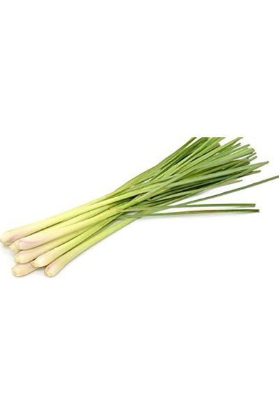 Lemon Grass x1 - DesiMe