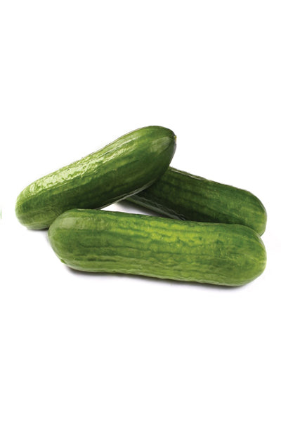 Baby Cucumber x3 - DesiMe