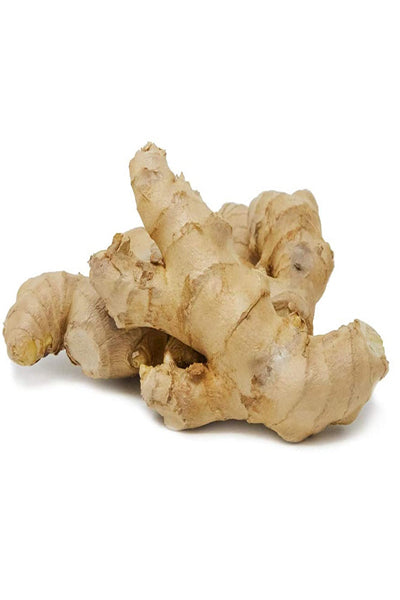 Ginger - DesiMe