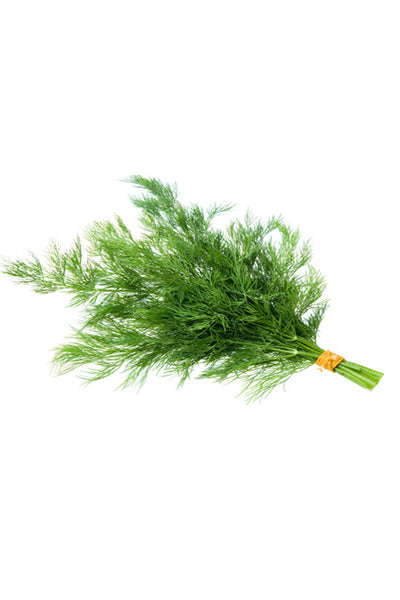 Soya Bunch (Dill) x1 - DesiMe