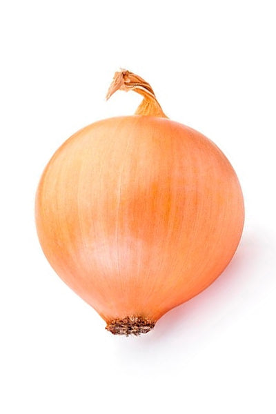 Onion Brown x 1 - DesiMe