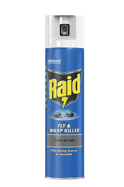 Raid Fly & Wasp Killer 300ml - DesiMe