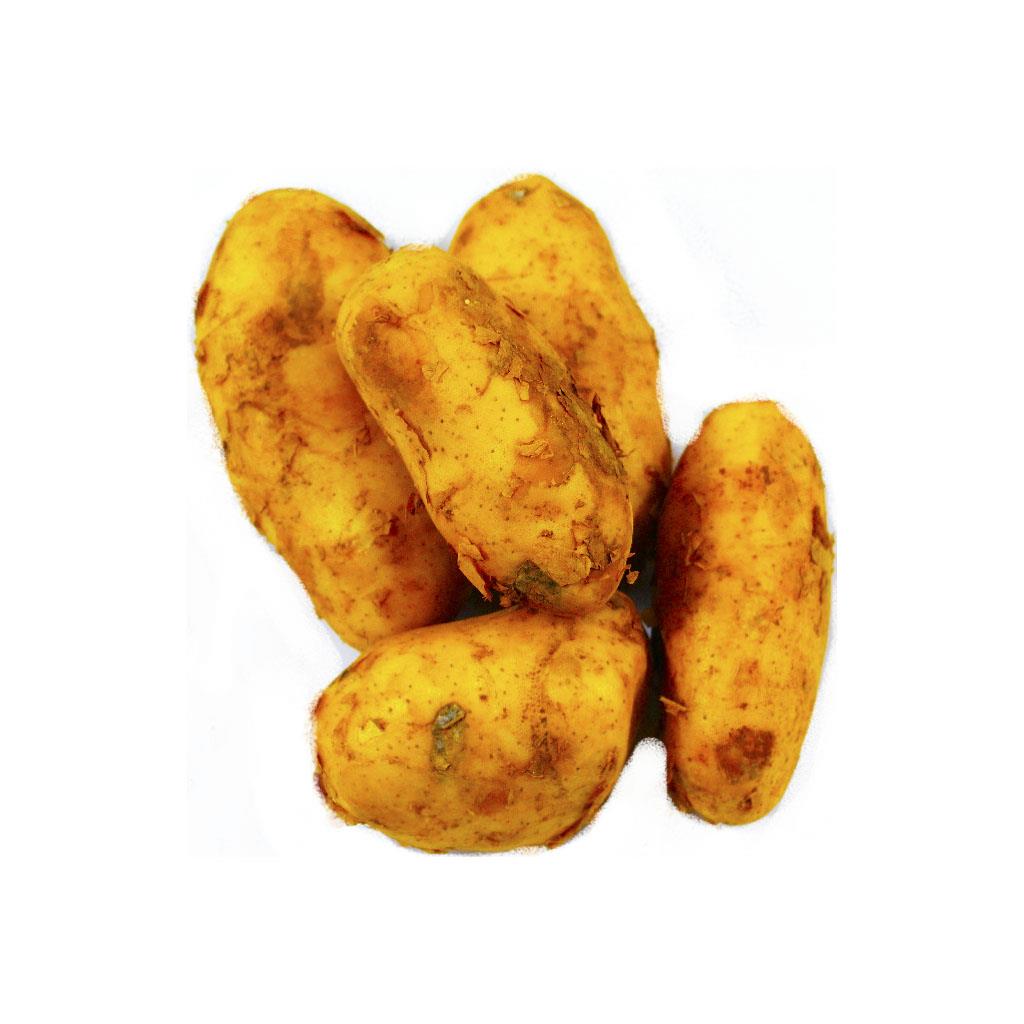 Cyprus Potato - DesiMe