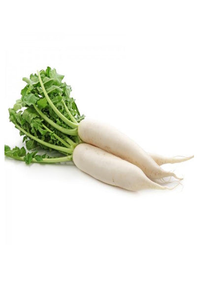 Mooli Raddish - DesiMe