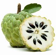 Custard Apple x1