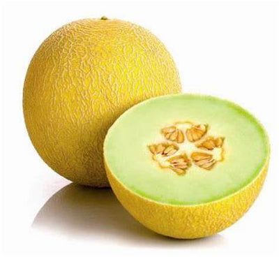 Galia Melon x1 - DesiMe