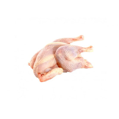 Halal Hard Chicken (Hen) Whole