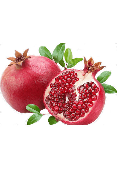 Pomegranate Small x1