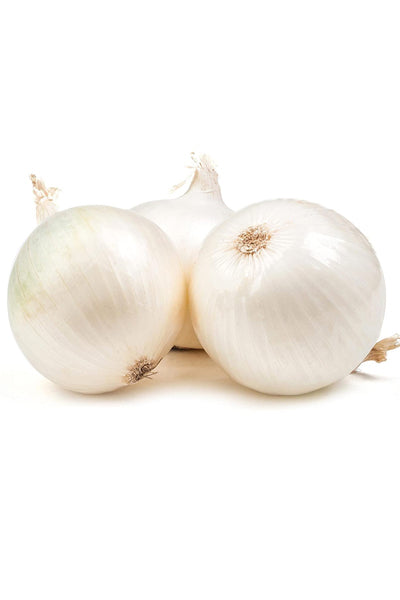 White Onion