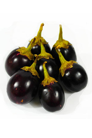 Pink Raviya – DesiMe